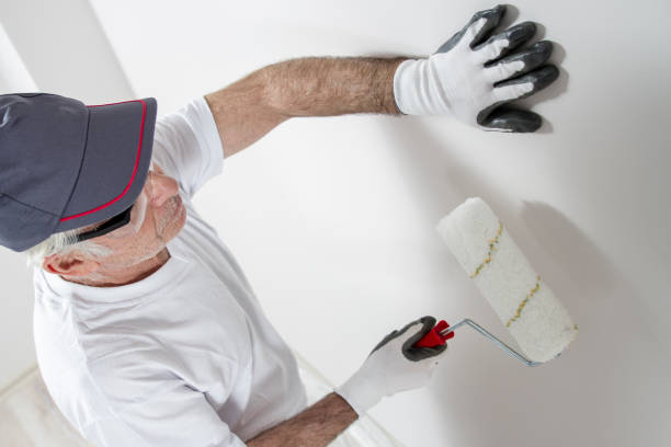 Best HVAC Mold Inspection and Cleaning  in Chapel Hill, TN