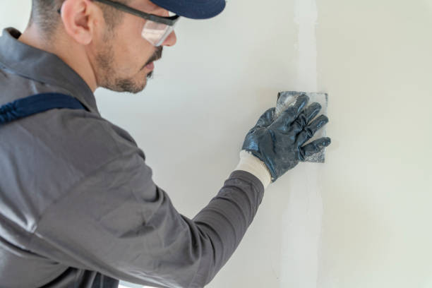  Chapel Hill, TN Mold Removal Pros