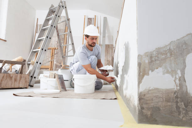 Biohazard Mold Removal in Chapel Hill, TN