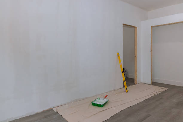 Chapel Hill, TN Mold Removal Company