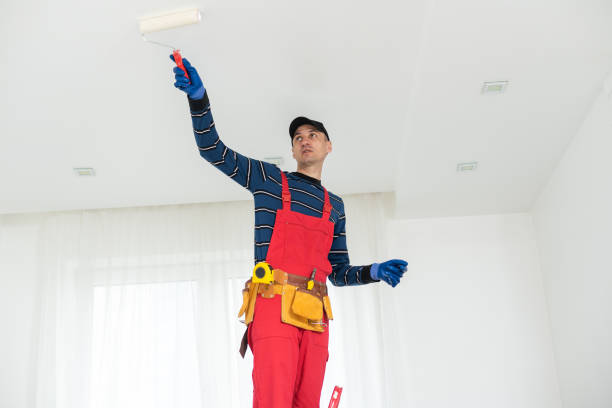 Best Asbestos and Lead Testing During Mold Inspection  in Chapel Hill, TN