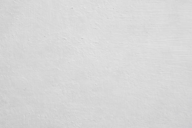 Best Mold Damage Restoration  in Chapel Hill, TN