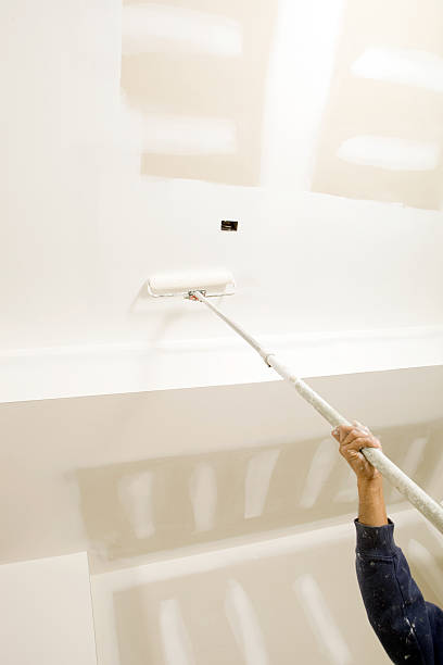 Best Real Estate Mold Inspection  in Chapel Hill, TN