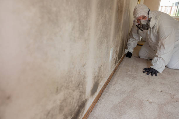 Best Indoor Air Quality Assessment  in Chapel Hill, TN