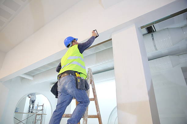 Environmental Consulting for Mold Prevention in Chapel Hill, TN