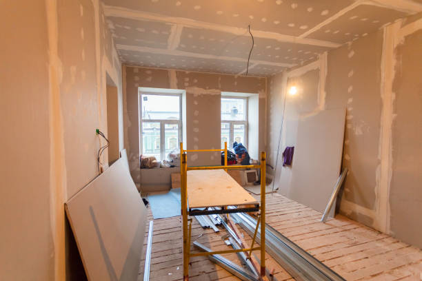 Best Mold Prevention Services  in Chapel Hill, TN
