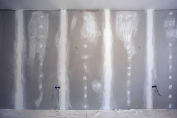 Best Environmental Consulting for Mold Prevention  in Chapel Hill, TN