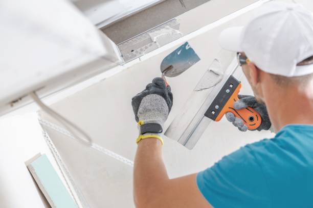 Best Mold Odor Removal Services  in Chapel Hill, TN